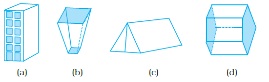 Page 183 Chapter 6 Class 8th NCERT Exemplar